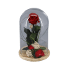Cúpula con una Rosa Roja preservada