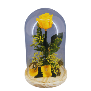 Cúpula Una Rosa Amarilla Preservada