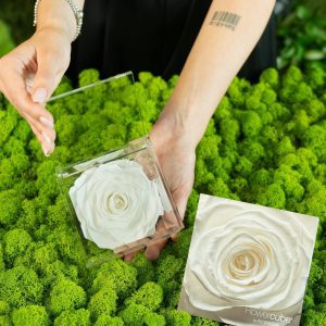 Flowercube BLANCA 10x10