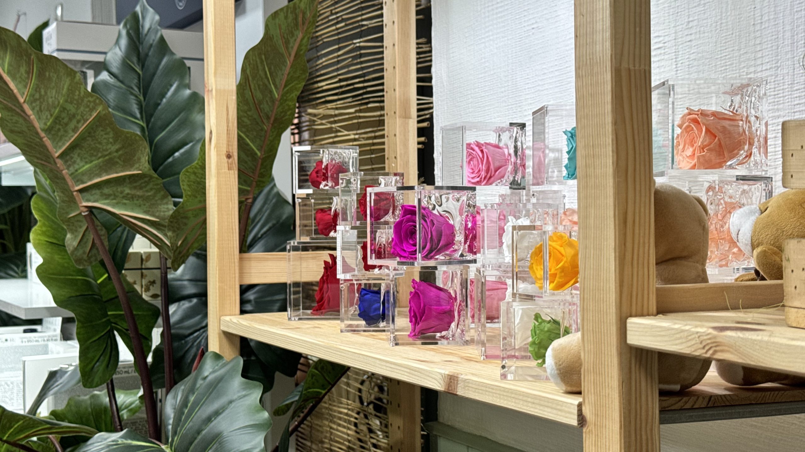 Rosi Floristas - Inauguraci&oacute;n establecimiento Corral de Almaguer 05.jul.2025 (18)