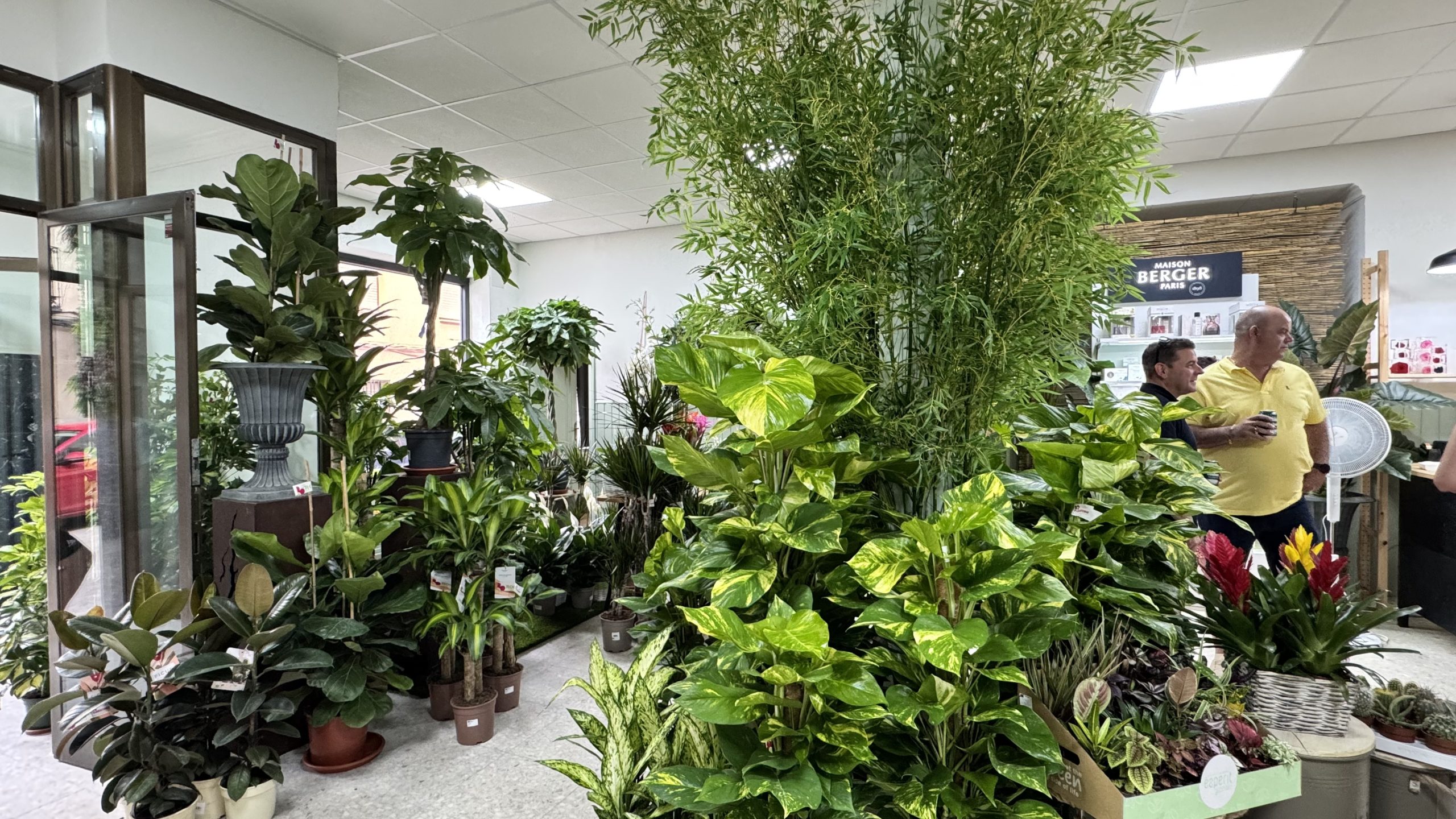 Rosi Floristas - Inauguraci&oacute;n establecimiento Corral de Almaguer 05.jul.2025 (6)