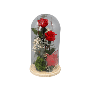 Cúpula con dos rosas rojas preservada