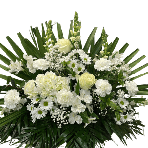 Centro Funerario Blanco 45€