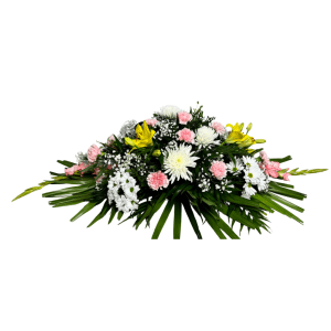 Centro tumbado 50€