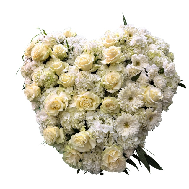 Centro funerario Corazón Ternura de flores blancas en forma de corazón – Rosi Floristas Centro funerario Corazón Ternura de flores blancas en forma de corazón – Rosi Floristas