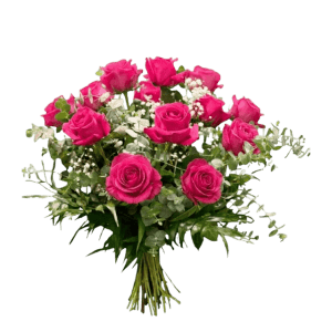 Ramo de 12 rosas fucsias