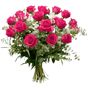 Ramo de 18 rosas fucsias