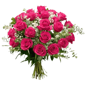 Ramo de 24 rosas fucsias