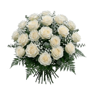 ramo-18-rosas-blancas