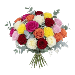 ramo-de-24-rosas-variadas