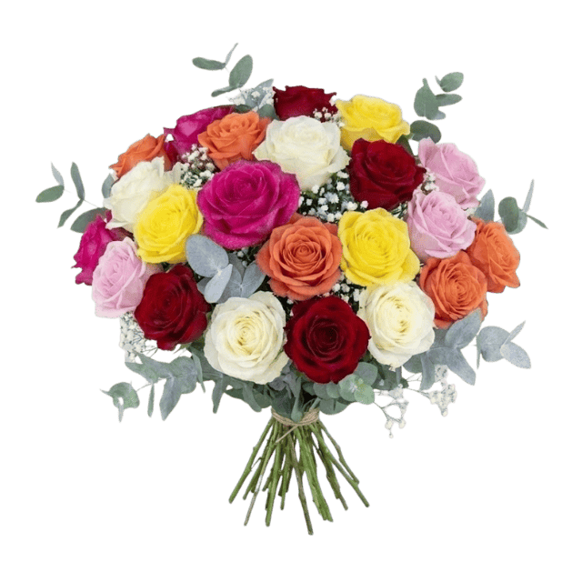 ramo-de-24-rosas-variadas ramo-de-24-rosas-variadas