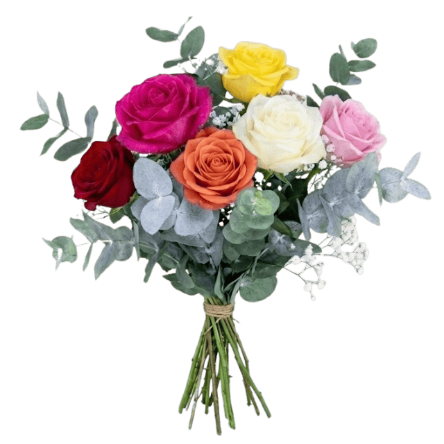 ramo-de-6-rosas-variadas ramo-de-6-rosas-variadas